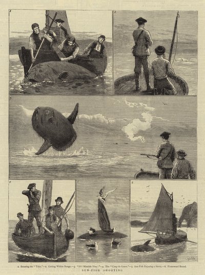 Chasse au poisson-lune - Joseph Nash